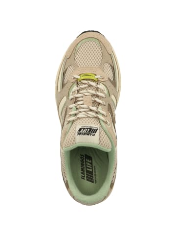 Flamingos Life Sneaker low Wairoa in beige