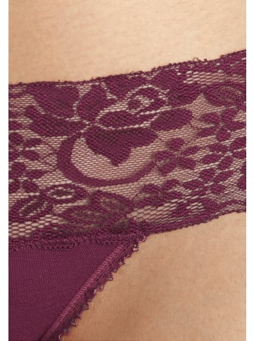 Vivance Brasilslip in petrol, taupe, bordeaux