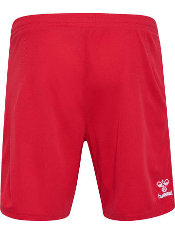 Hummel Hummel Kurze Hose 1Fck 23/24 Fußball Erwachsene Atmungsaktiv Schnelltrocknend in TRUE RED