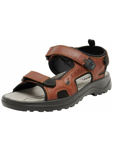 Jomos Outdoorsandalen für Herren in cognac