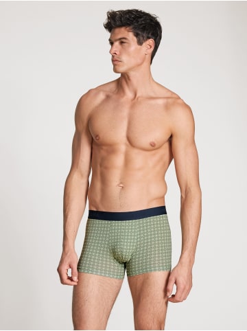 Calida New Boxer in loden frost