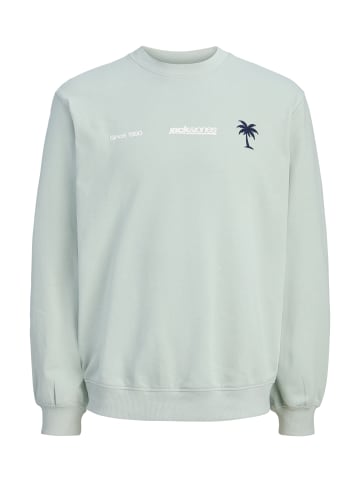 JACK & JONES Junior Sweatshirt 'Club Summer' in grau