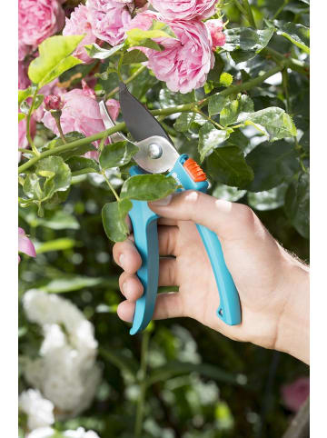 Gardena Classic Gartenschere Aktion: Baumschere mit Bypass-Schneide 8754-30