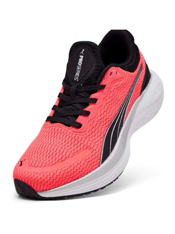 Puma Laufschuhe Scend Profoam Jr in fire orchid-puma black-puma white