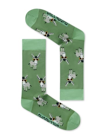 GreenBomb Socks Funky Donkey in Mix