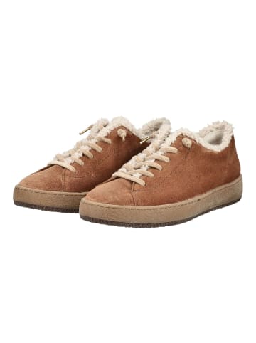 Paul Green Sneaker Nut