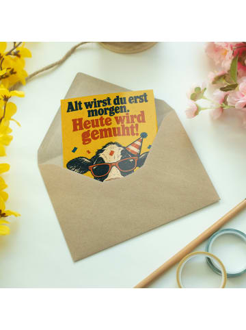 Mr. & Mrs. Panda Geburtstagskarte Kuh Stoisch Design mit Spruch in Weiß