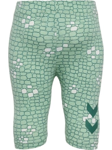 Hummel Kinder Leggings "Zanzi Tights Capri" in Grün
