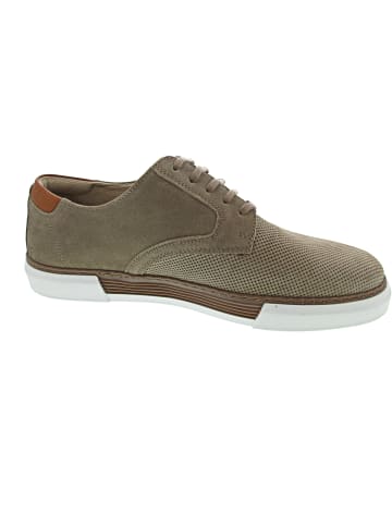 Camel Active Bayland Sneaker low Beige