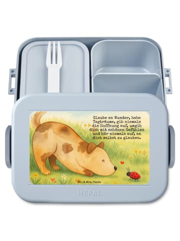 Mr. & Mrs. Panda Brotdose Hund Marienkäfer Design mit Spruch in Blau Pastell