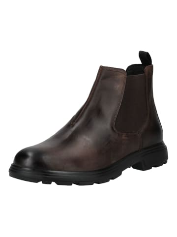 Geox Stiefelette in Coffee