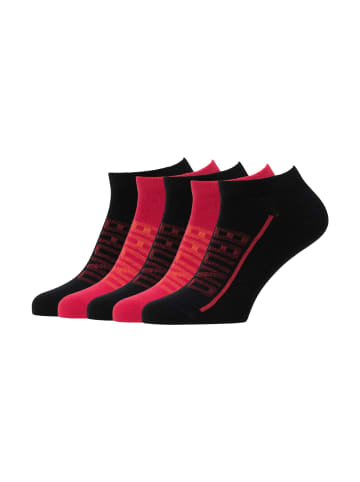Bruno Banani Sneakersocken LEWIS in Rot