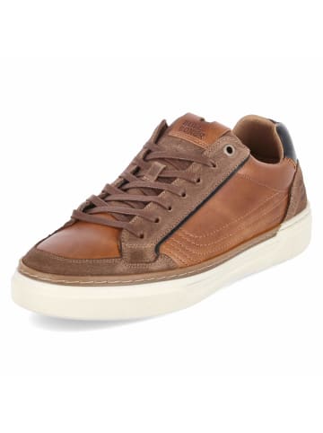 Bullboxer Low Sneaker in braun