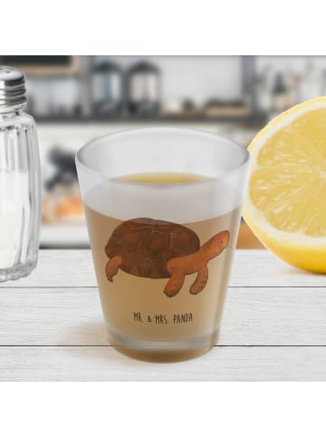 Mr. & Mrs. Panda Shot Glas Schildkröte MHerzieren ohne Spruch in Transparent