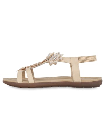 VAN HILL Riemchensandalen Celia in Beige