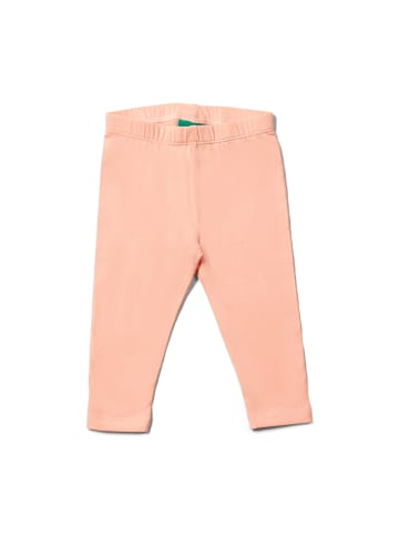 Little Green Radicals Leggings in Rosa