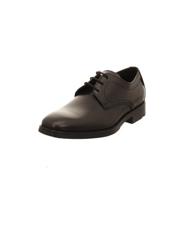 LLOYD Schnürschuhe in schwarz