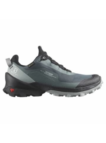 SALOMON Wanderschuhe für Damen in grau in grau