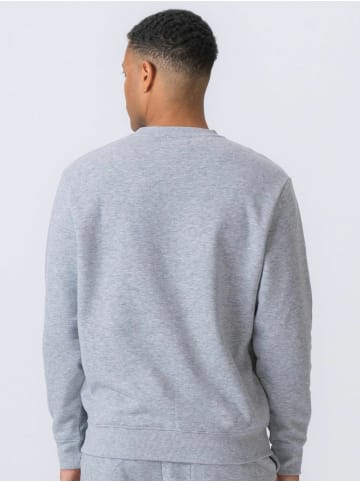 TeeShoppen Pullover Essential Crewneck in Grey