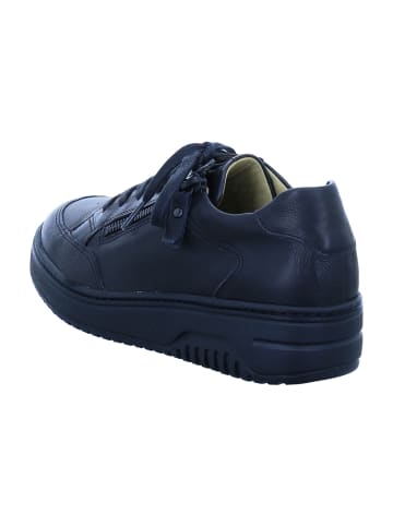 Hartjes Komfort Schnürschuhe in Schwarz