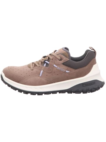 Ecco Klassischer Schnürschuh in beige