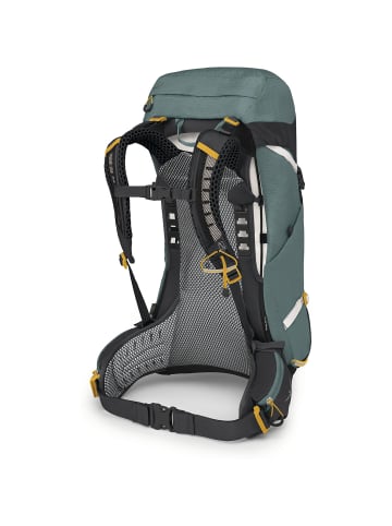 Osprey Tagestouren-Rucksack Sirrus 26 in Schlamm