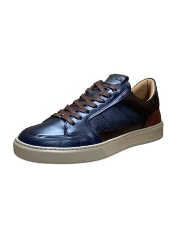 Ambitious Sneaker Low in Blau
