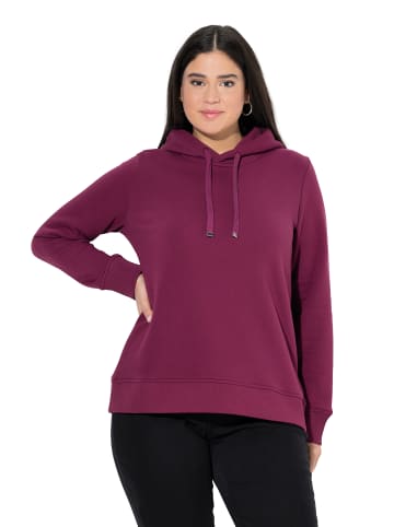 Ulla Popken Sweatshirt in dunkle beere