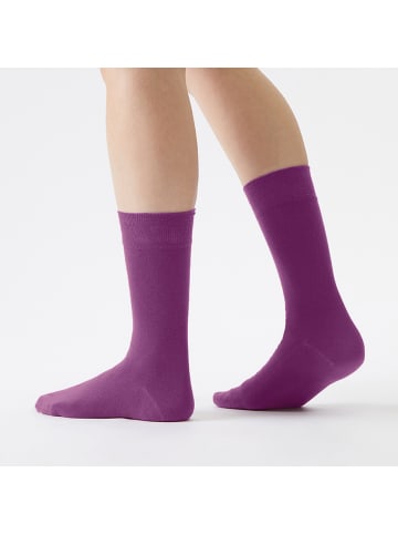 von Jungfeld Classic Socken Colour in Magenta