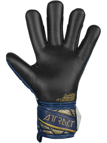 Reusch Torwarthandschuhe Attrakt Freegel Silver in 4411 premium blue/gold/black