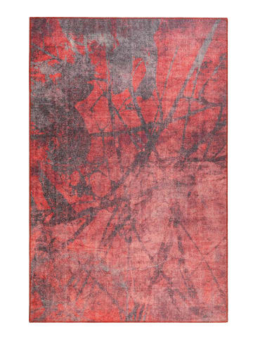 Wecon Home Kurzflorteppich PEPE in rot