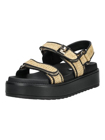 Steve Madden Sandalen in Schwarz/Beige