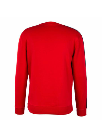 Champion Sweatshirt in Rot