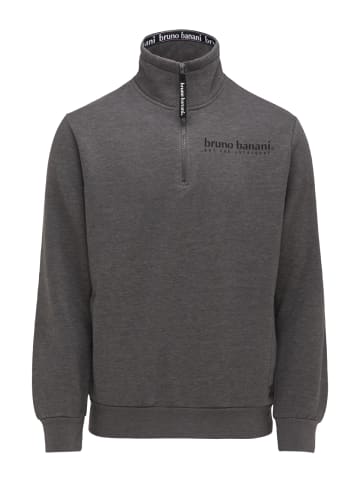 Bruno Banani Sweater PALMER in Anthrazit / Melange