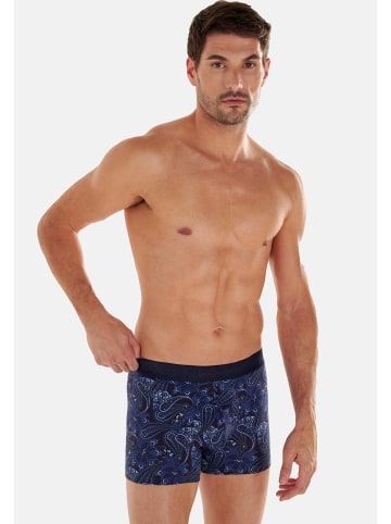 HOM Retro Short / Pant Bohemian in Navy print