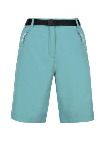 Regatta Funktionsshorts Xert Str in Petrol