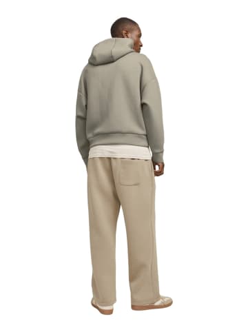 Jack & Jones Sweatshirt JCOKINETIC SWEAT HOOD in Beige