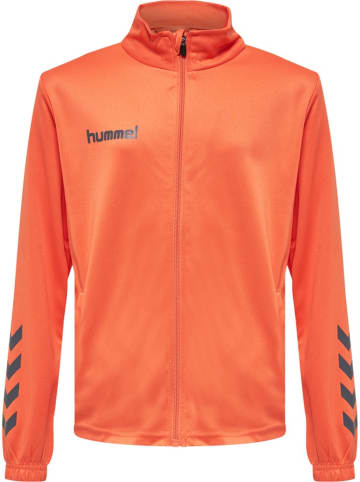 Hummel Kinder Trainingsanzug "Hmlpromo" in Blau