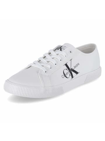 CALVIN KLEIN JEANS Schnürhalbschuh in weiss