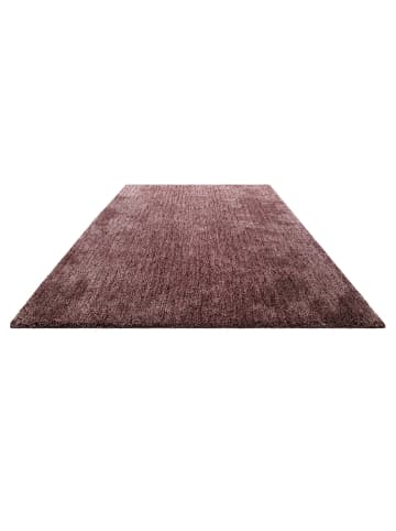 Homie Living Teppich "Pisa" in Bordeaux Rot (Farbcode HL-0017-11)