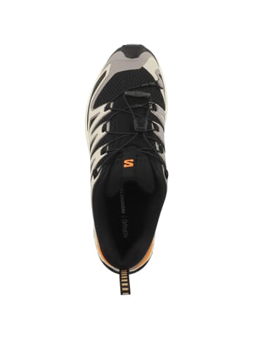 SALOMON Laufschuhe XA PRO 3D V9 in creme