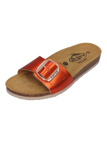 Plakton Pantoletten BIS 3 181018 in orange