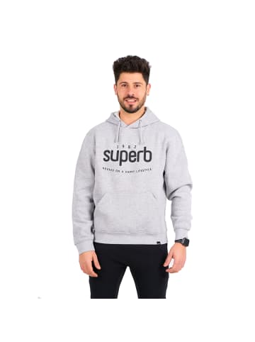 Superb Hoodie in Gray