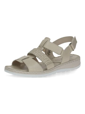 Caprice Sandalen in Beige