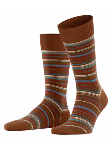 Falke Socken Microblock in Caramel