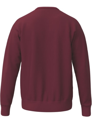 erima Kinder Sweatshirt "Ts Sweatshirt" in Rot