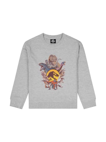 ONOMATO! Pullover Sweatshirt Jurassic World Dinosaurier in Grau
