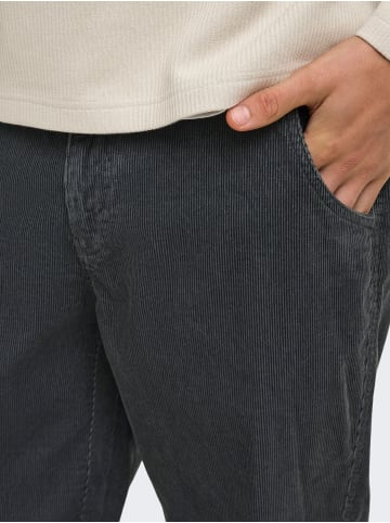 ONLY & SONS Hose in Grey Pinstripe 1