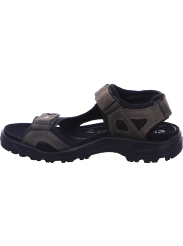 Ecco Sandalette in grün