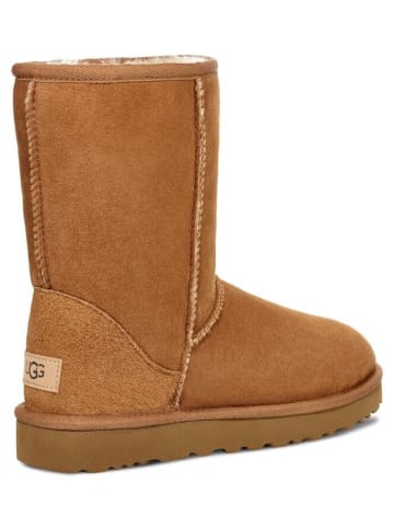 UGG Winterstiefeletten Classic Short ll in chestnut